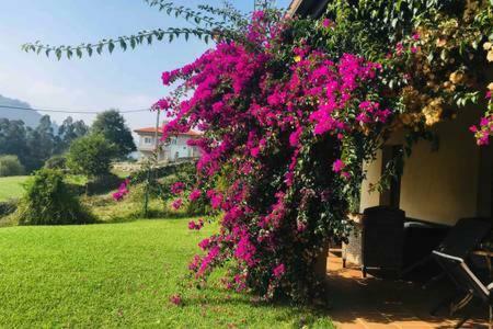 Willa Acogedora Casa En Asturias Candamin Zewnętrze zdjęcie